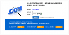 什么是临时域名