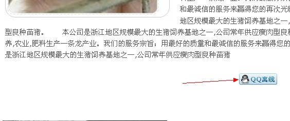 成品网站如何给添加QQ客服及其他客服代码(包含QQ浮动客服)(图7) 成品网站如何给添加QQ客服及其他客服代码(包含QQ浮动客服)(图7)